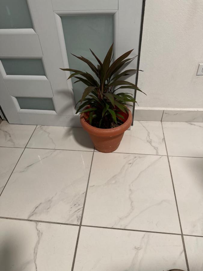 Second Floor 2Br Apt In The Center Of Santurce Apartment ซานฮวน ภายนอก รูปภาพ